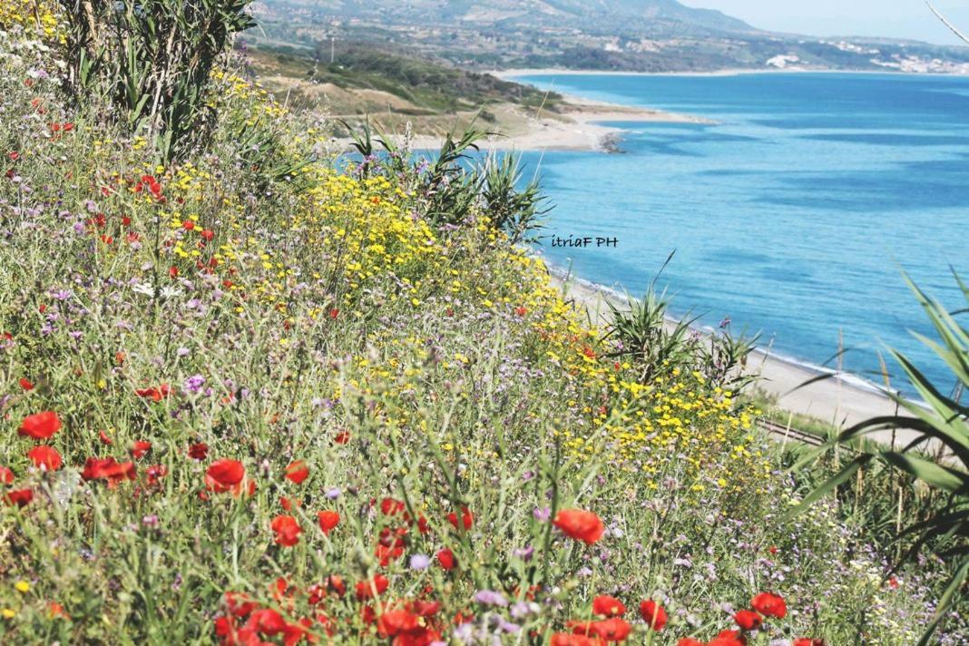 Climatizzato In Centro A 100M Dal Mare Villa Cirò Marina Exteriör bild